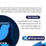 Buy Old Twitter Accounts Profile Picture